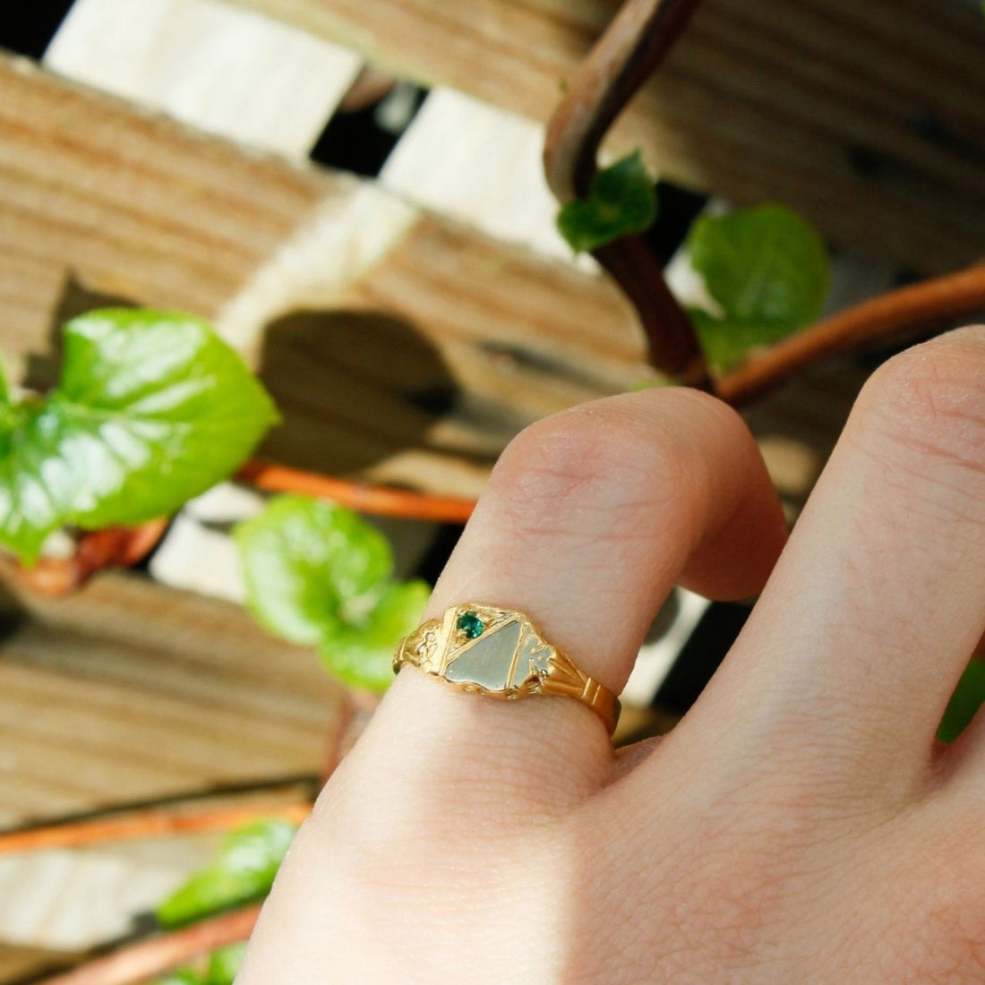 Signet Pinky Ring with Custom Birthstone Jewellery1