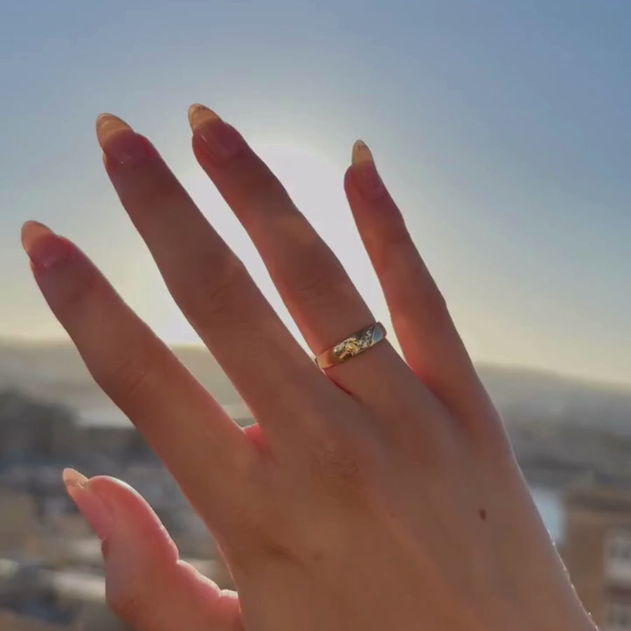 Heirloom Band | 14k Yellow/White/Rose Gold