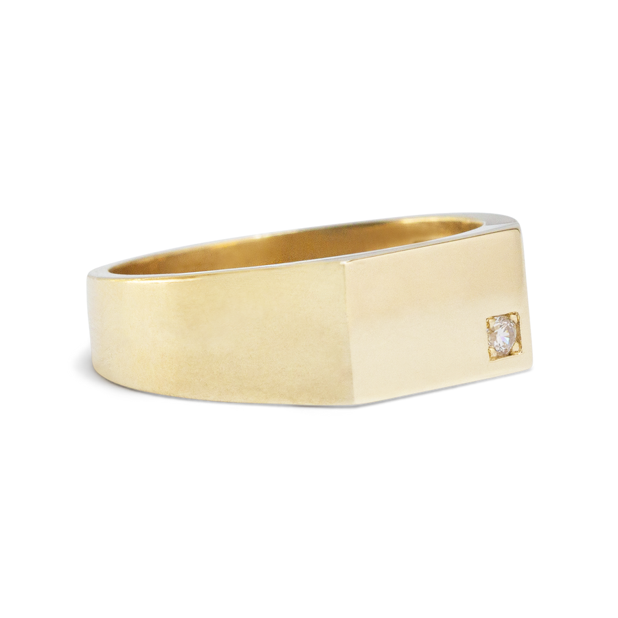 Men’s Signet Ring with Birthstone | 10k-14k Yellow/White/Rose Gold