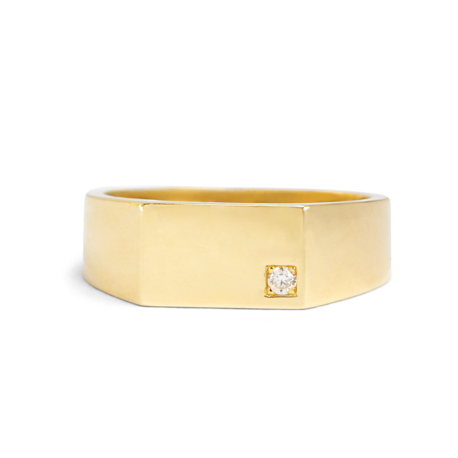 Men’s Signet Ring with Birthstone | 10k-14k Yellow/White/Rose Gold